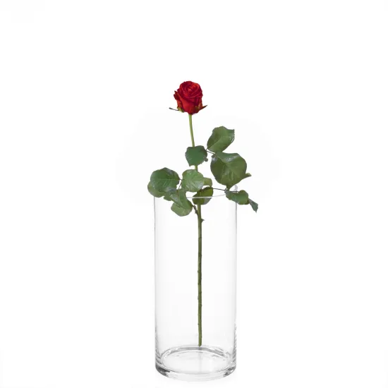 Rosen (Anzahl auswählbar)